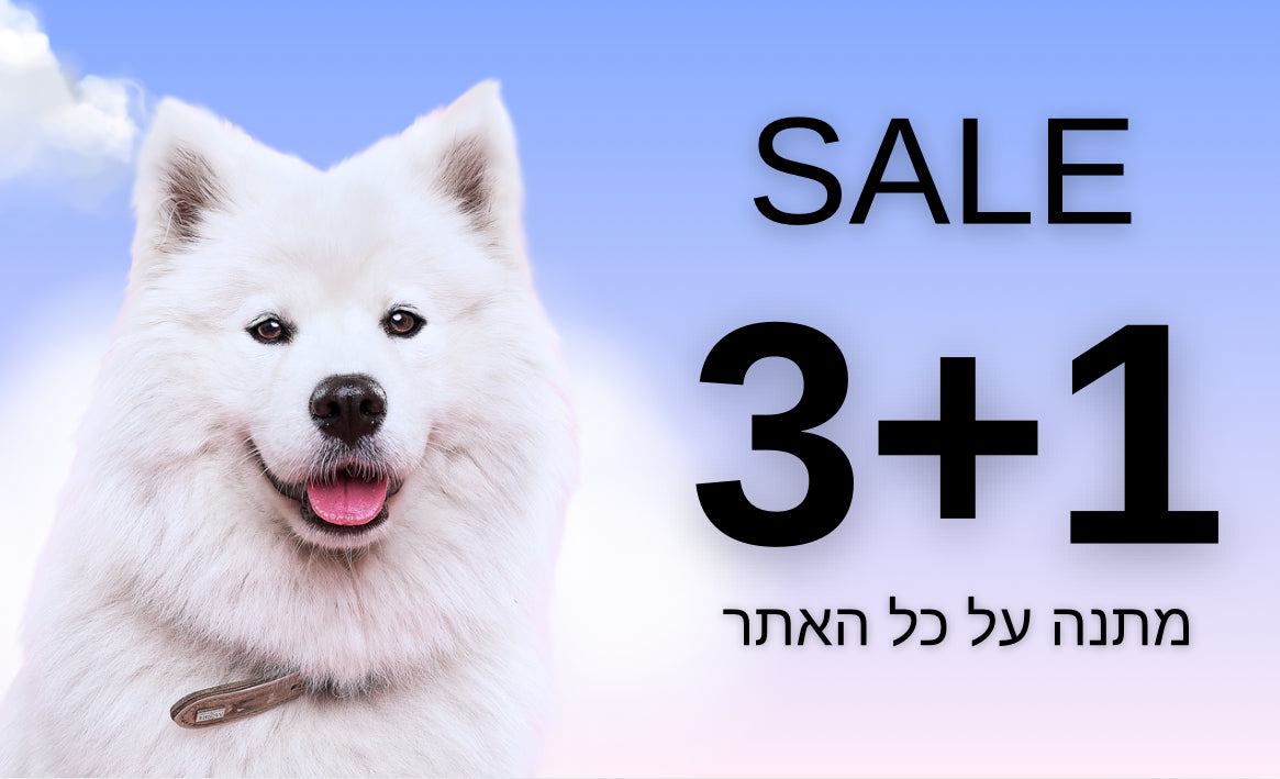 בגדי כלבים