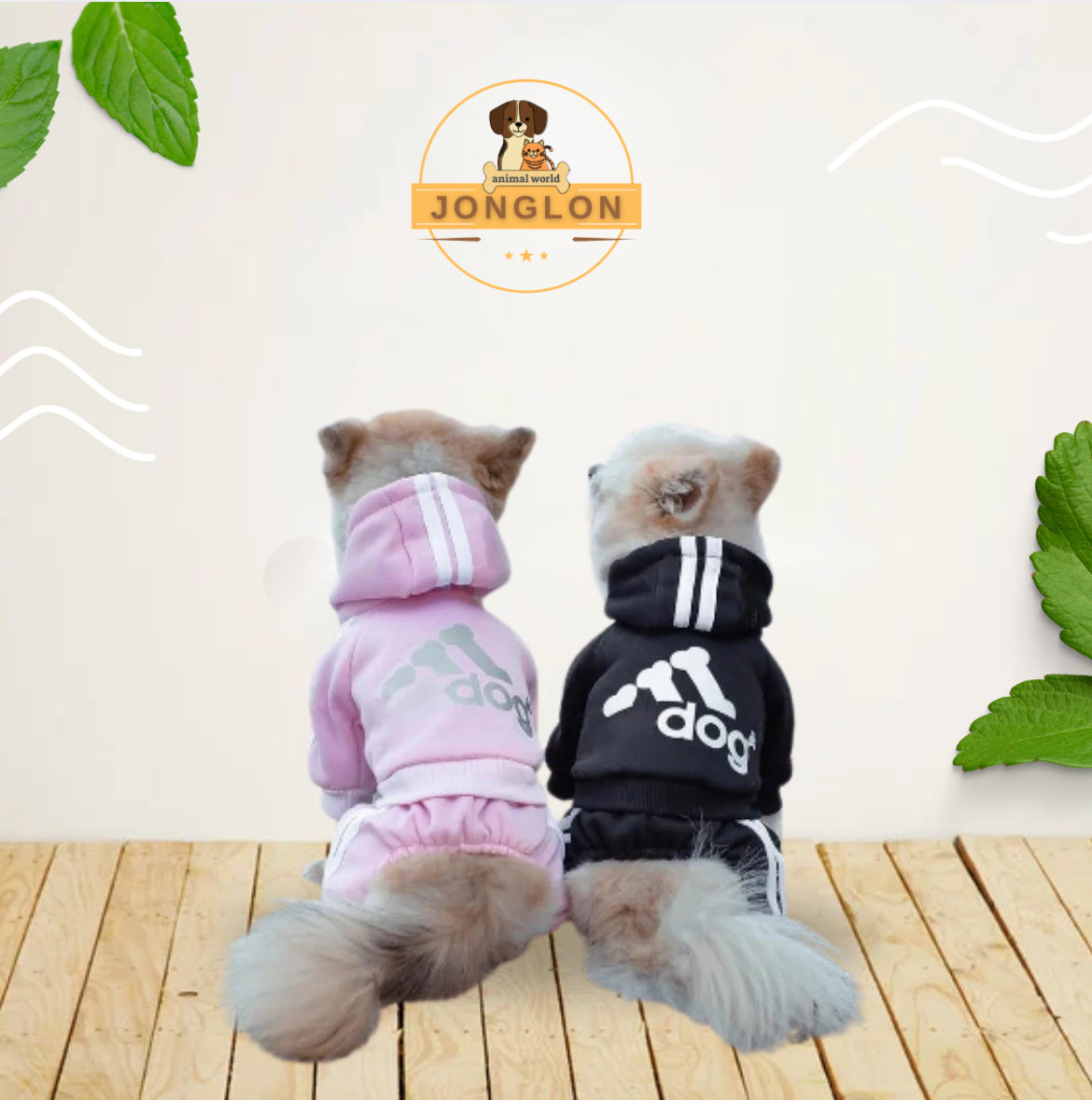 קפוצ'ון ניו יורק קלאסי