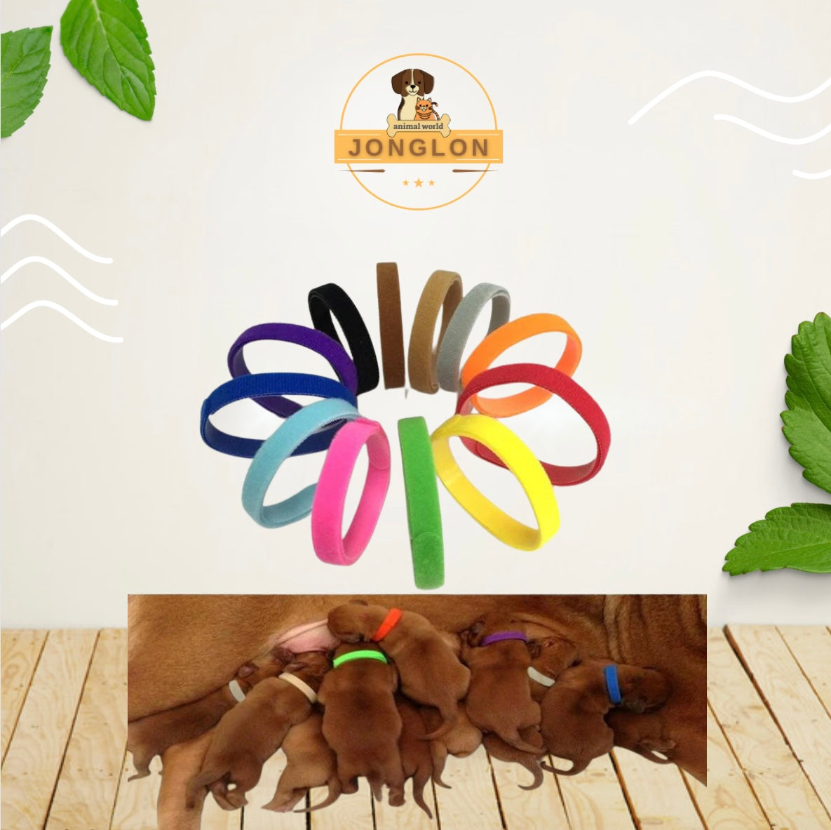 סט 12/ יח להמלטה גורים