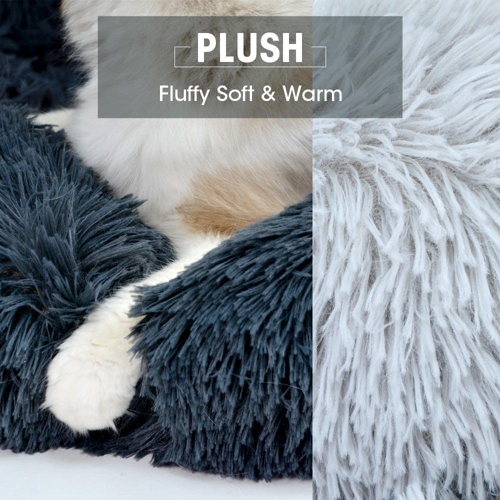שטיח פרוותי שעיר ונוח לחתולים