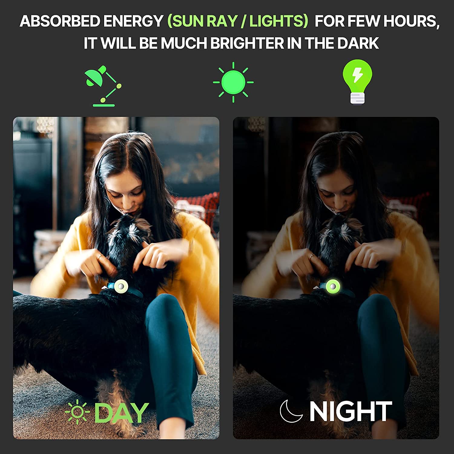 איתוראן מיוחד ואיכותי לחיות מחמד