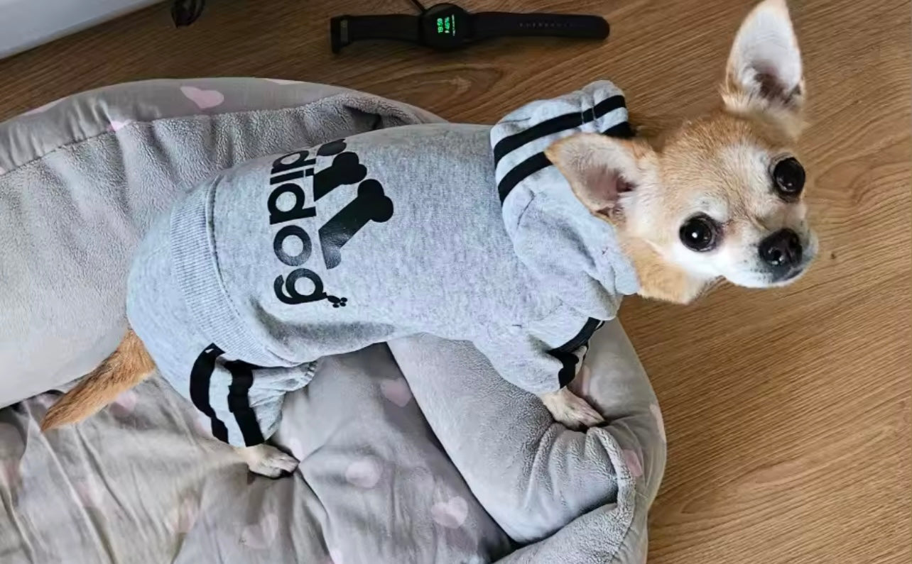 קפוצ'ון ניו יורק קלאסי