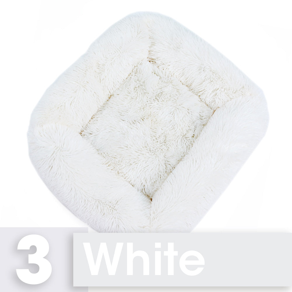 שטיח פרוותי שעיר ונוח לחתולים